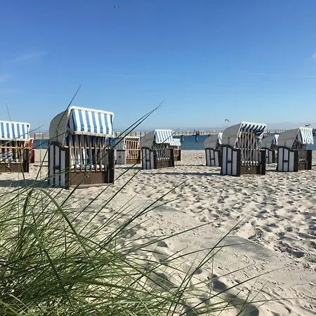 Sanddüne No.19 Boltenhagen